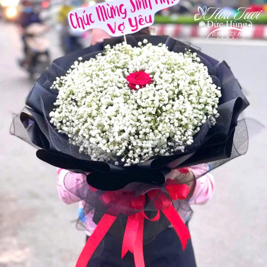 Hoa Baby Tặng Vợ Yêu
